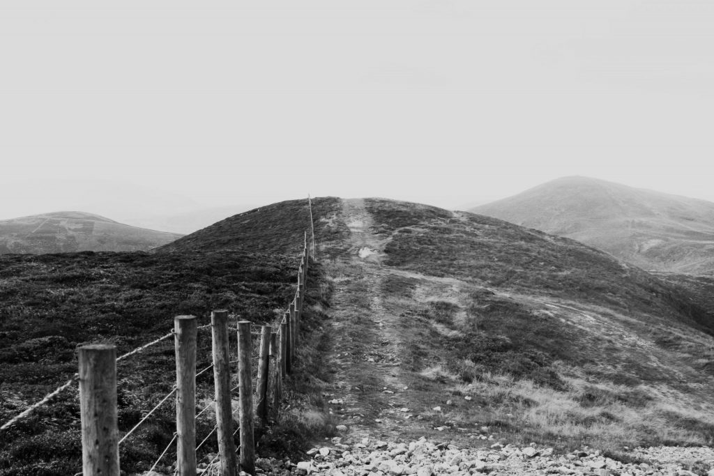Fence and Boundaries